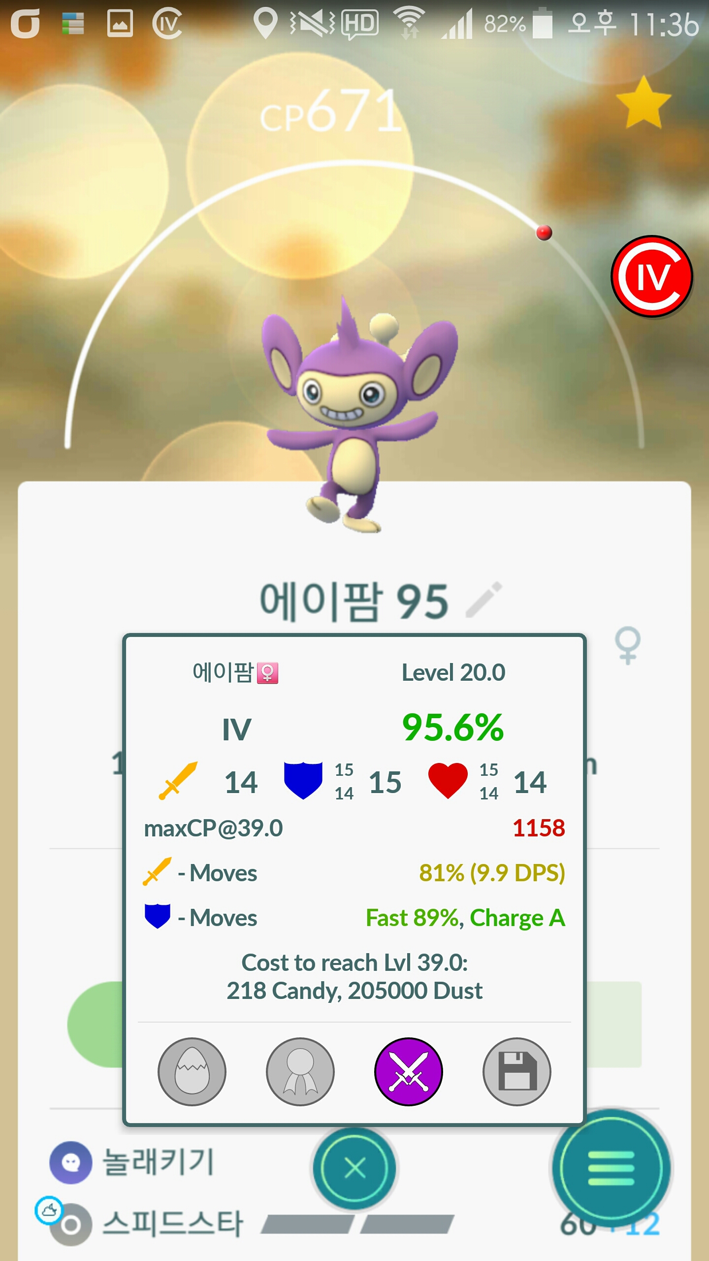 에이팜