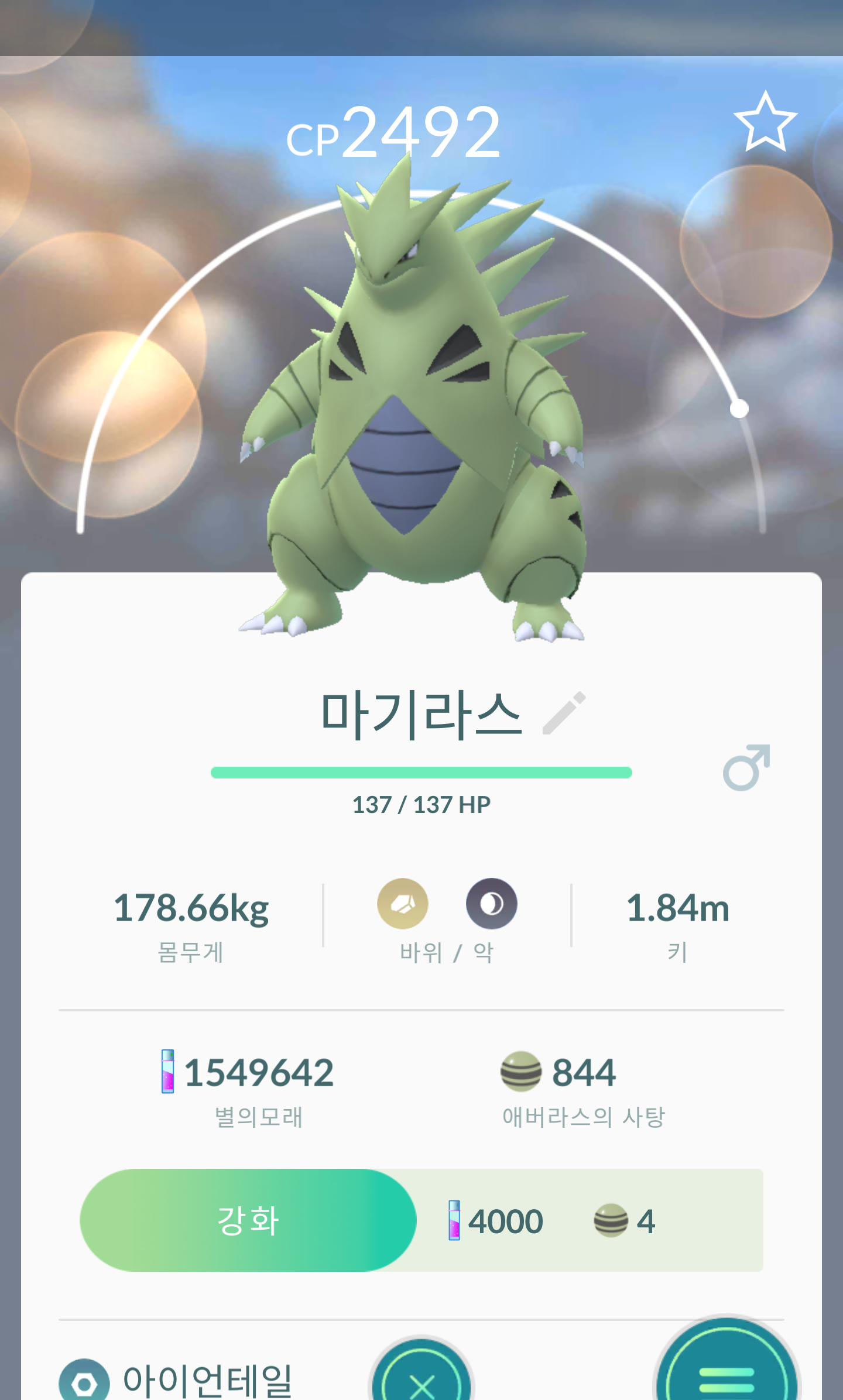 오늘 잡은 야생마기