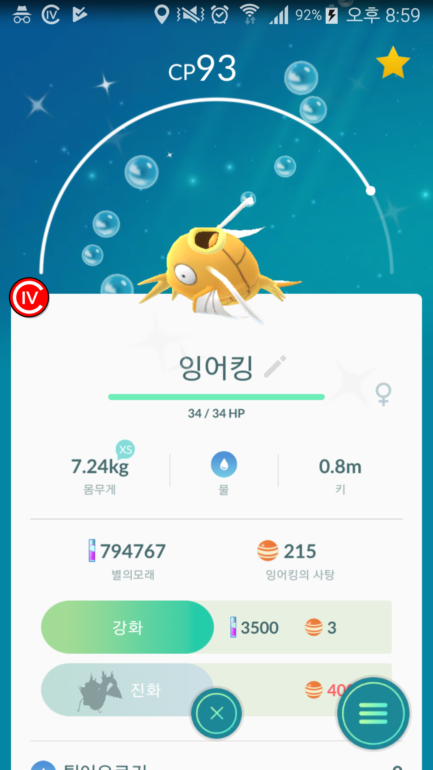첫 황금잉어킹!