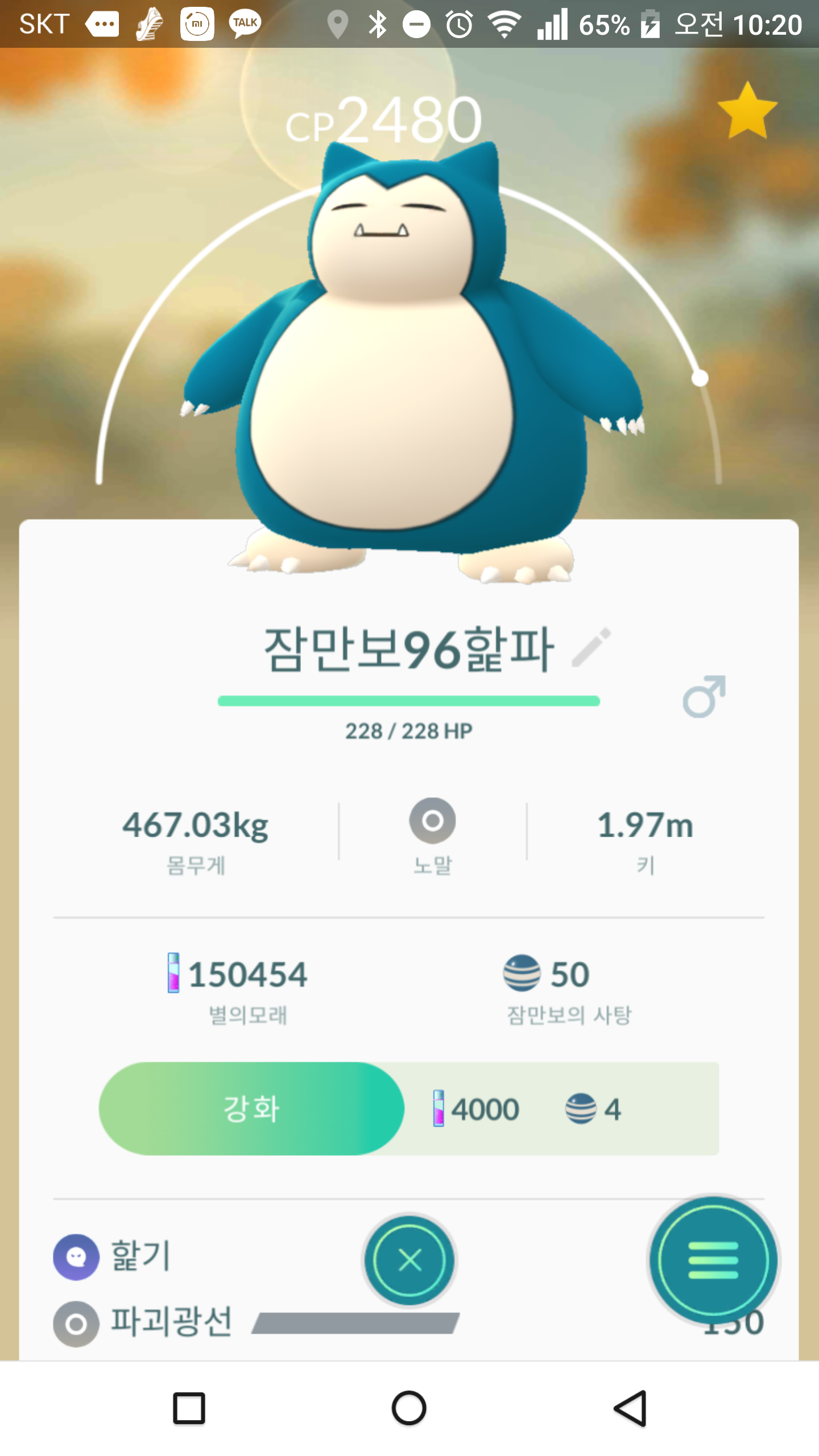 96 잠만보