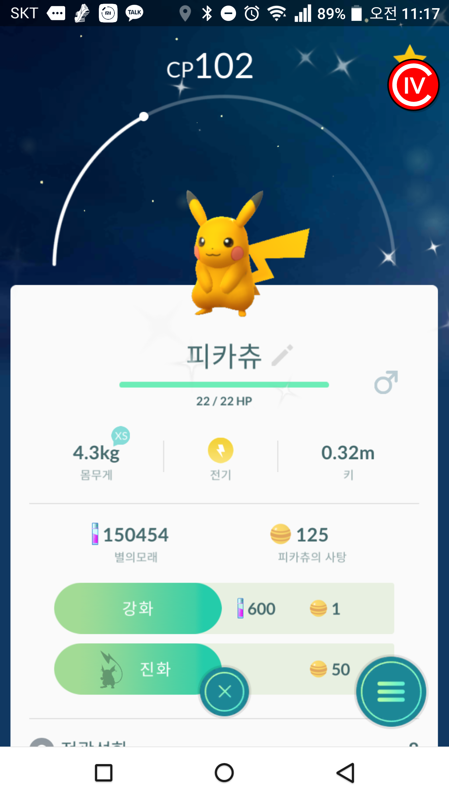 이로치 피카츄