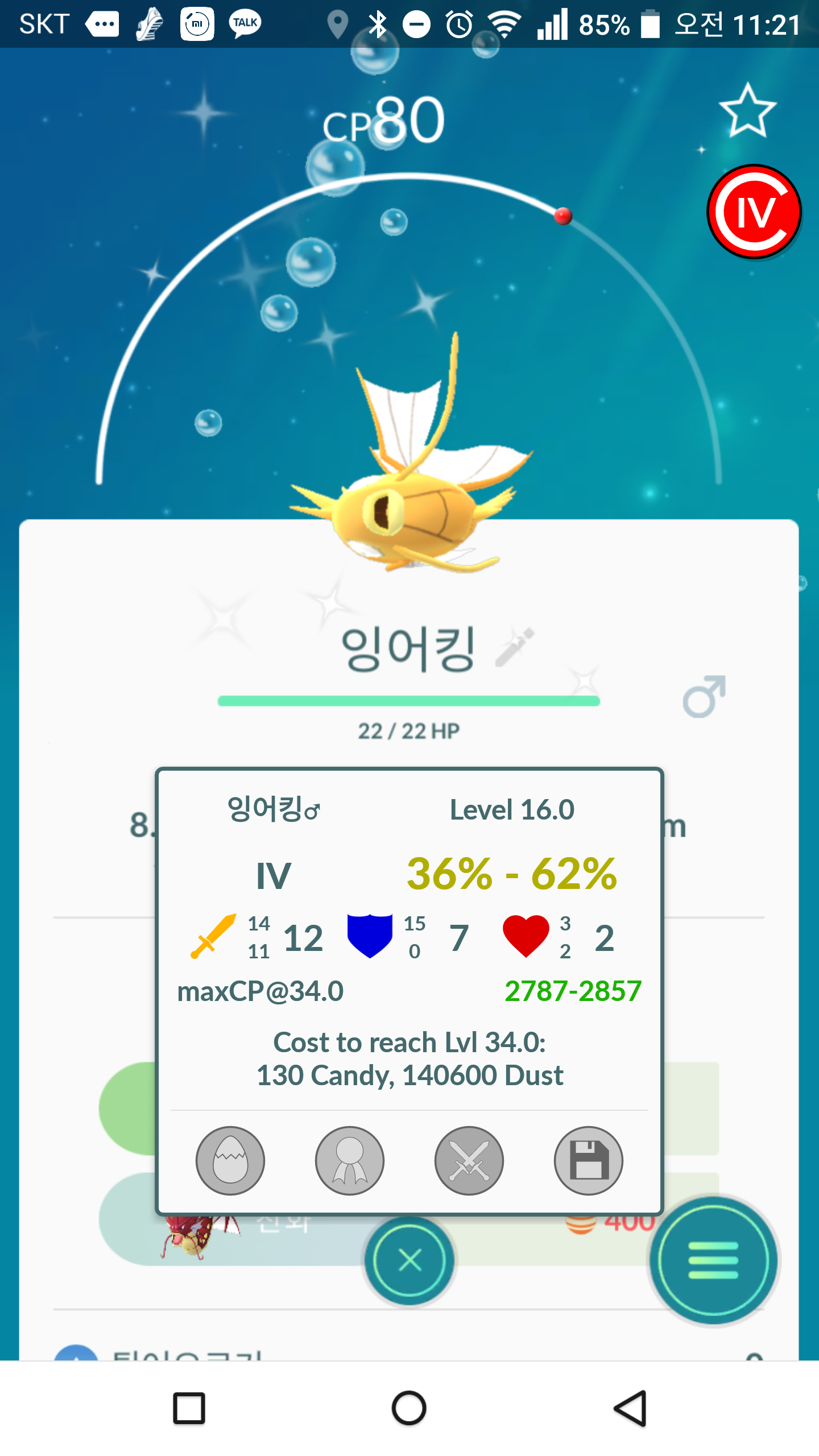또 잡은 황어킹