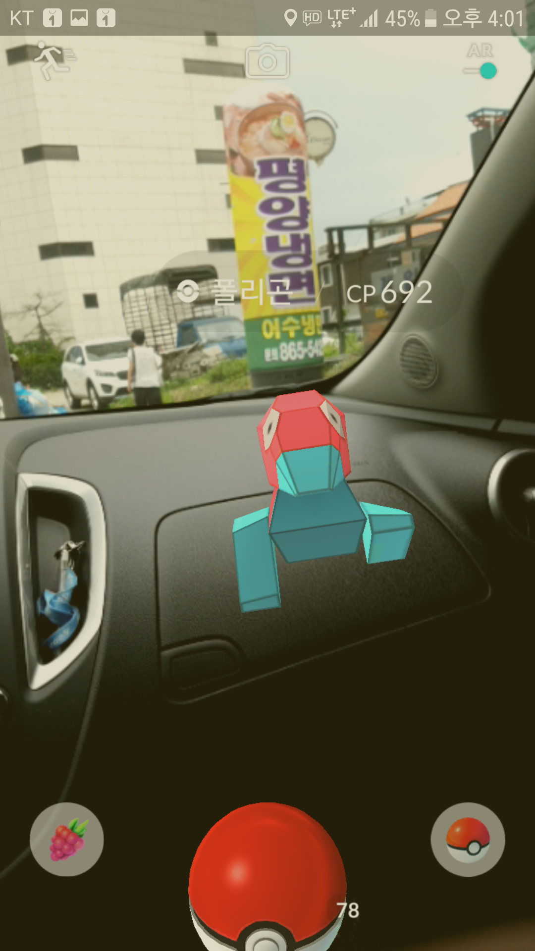 야생 첫 폴리곤....