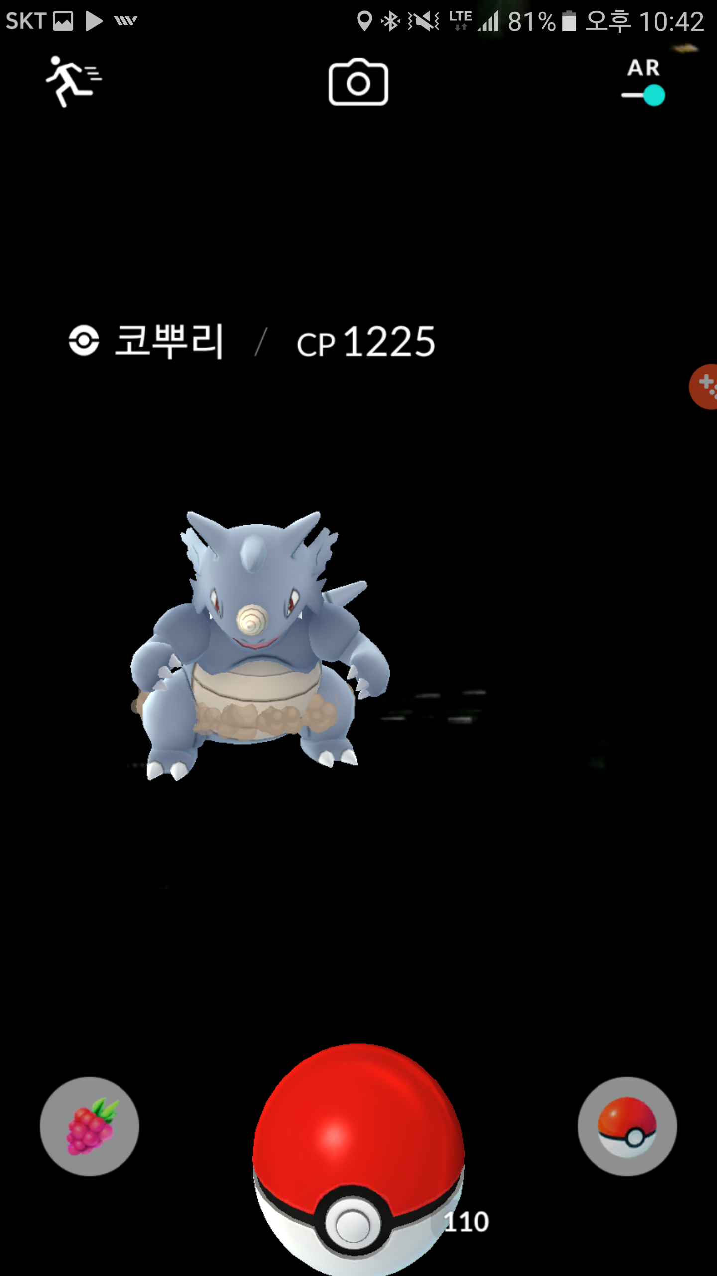 야생코뿌리