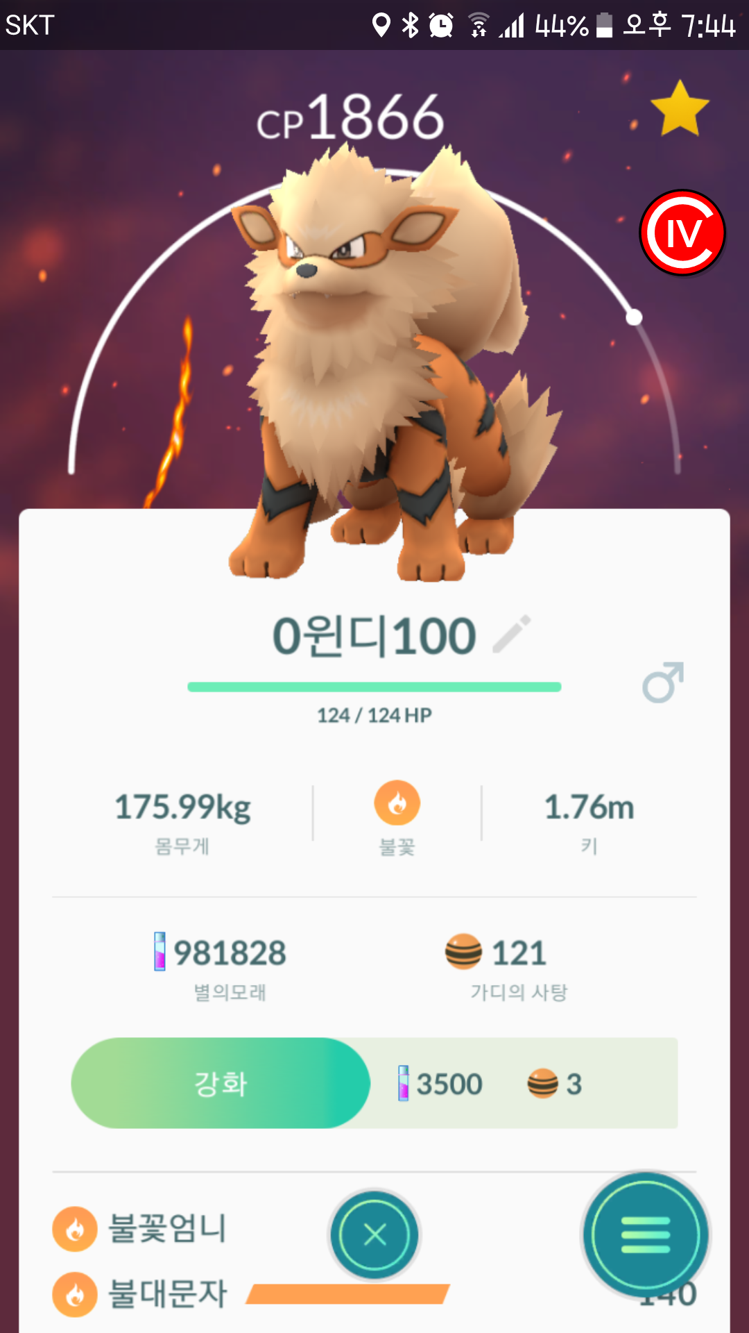 원디100%