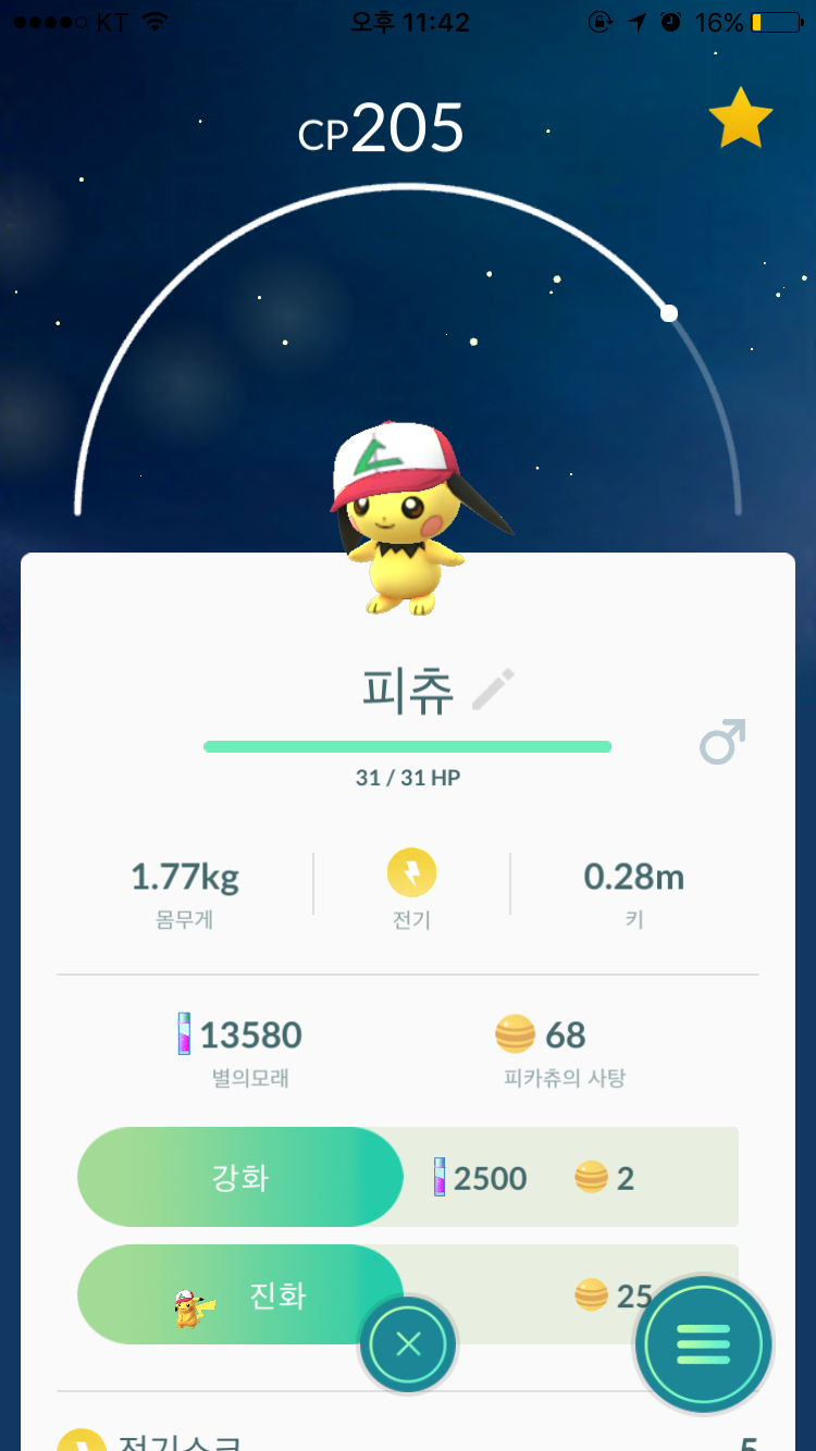모자쓴 피츄❤️