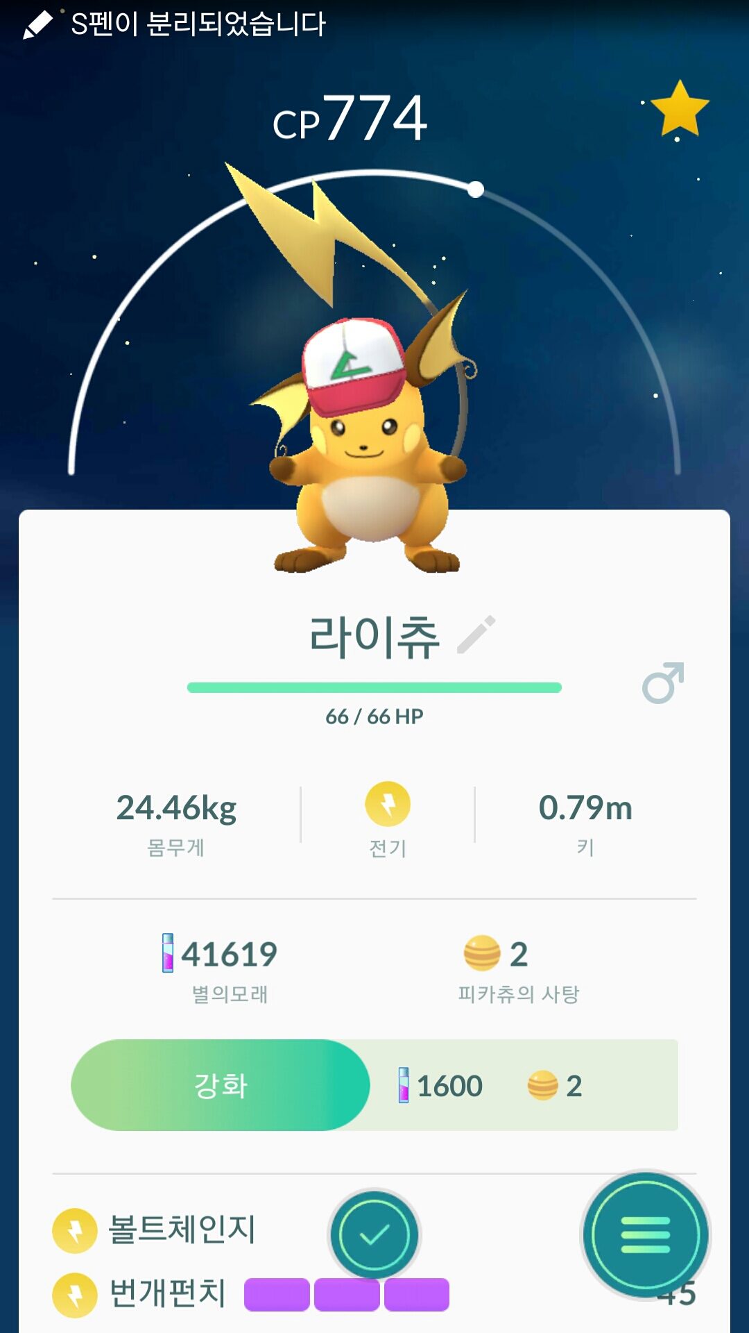 소장용 라이츄~~~귀엽네