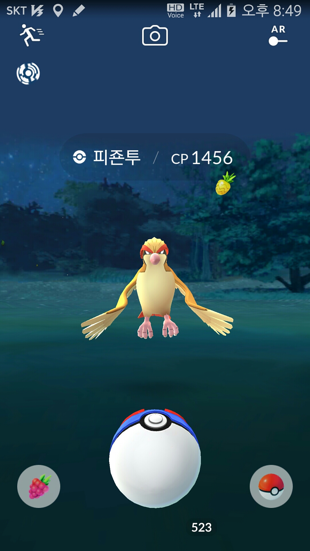 집에 방문한 피죤투~~~