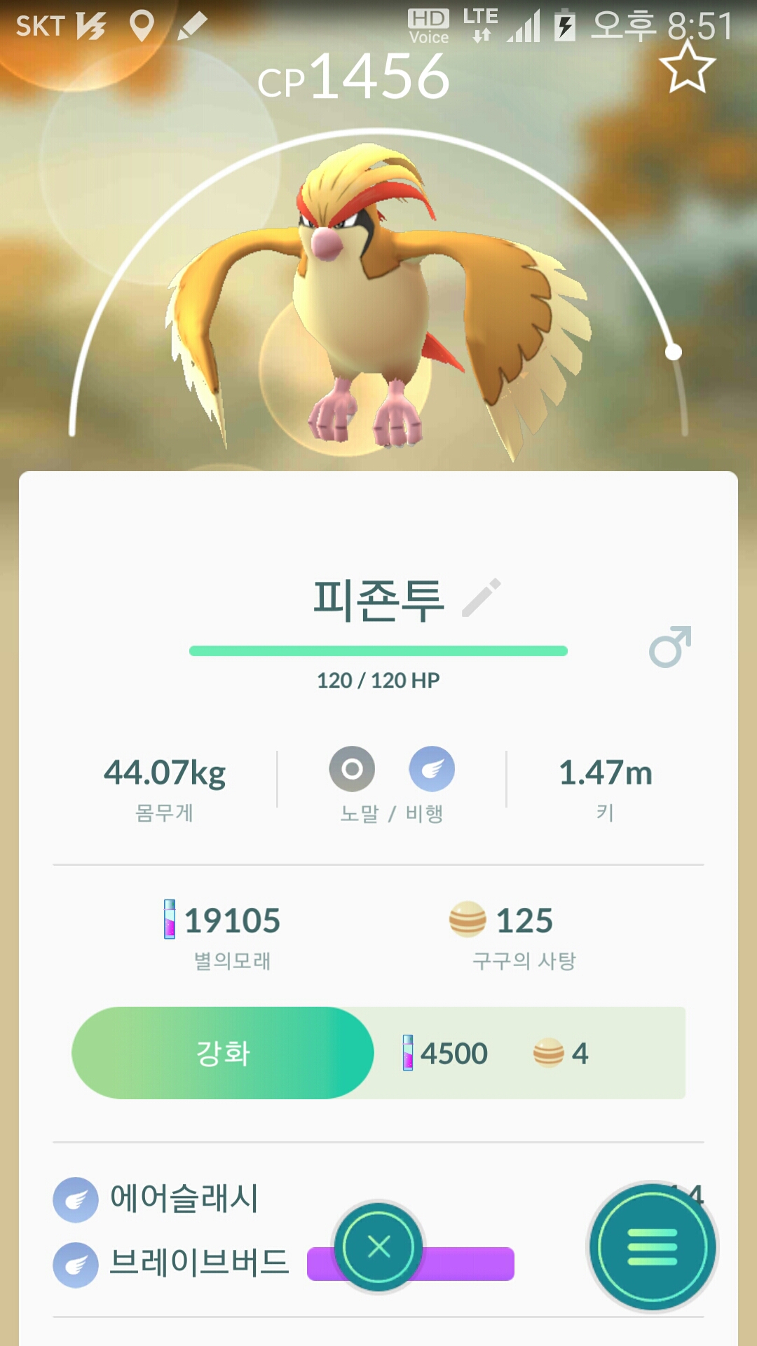 집에 방문한 피죤투~~~
