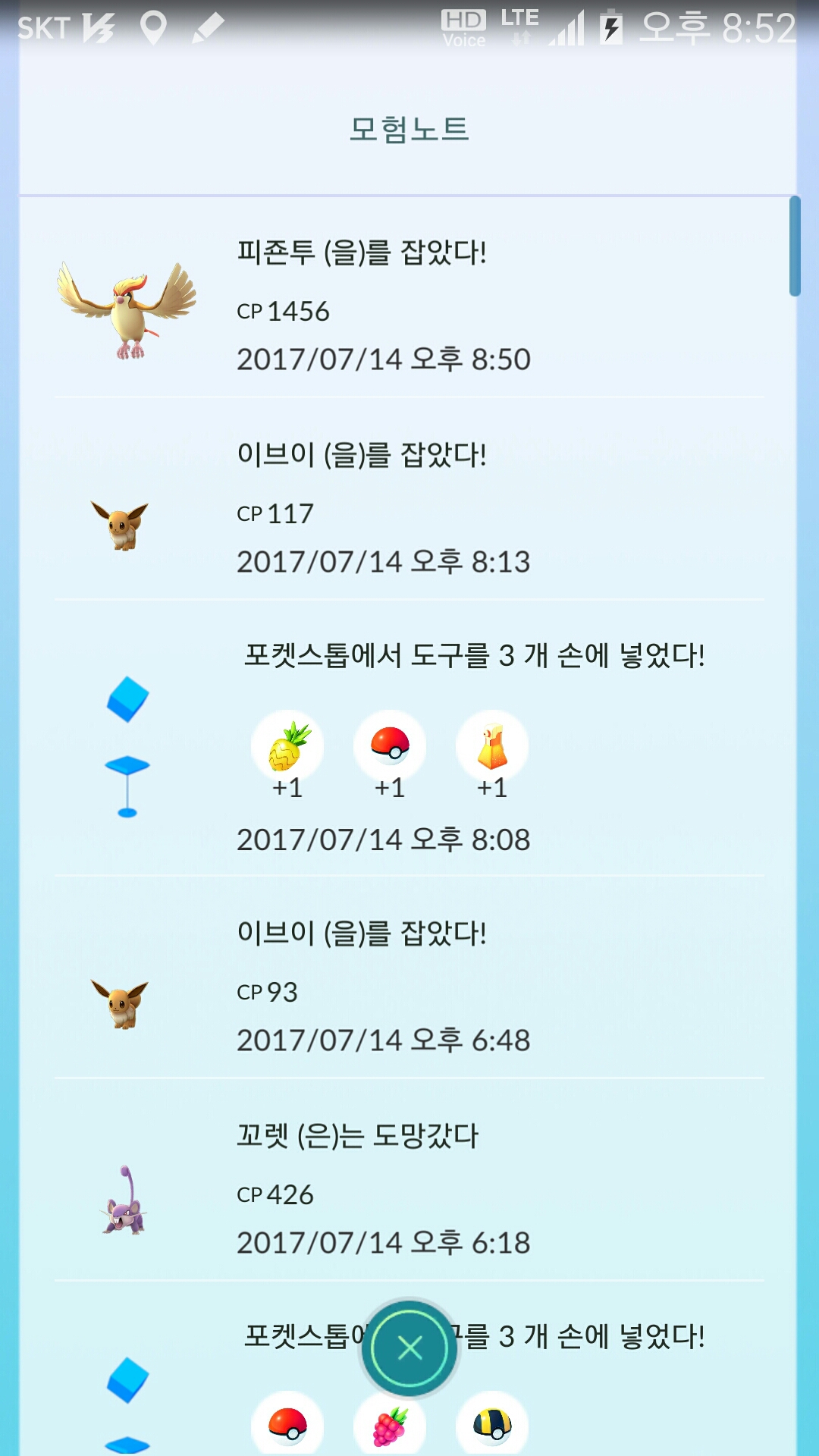 집에 방문한 피죤투~~~