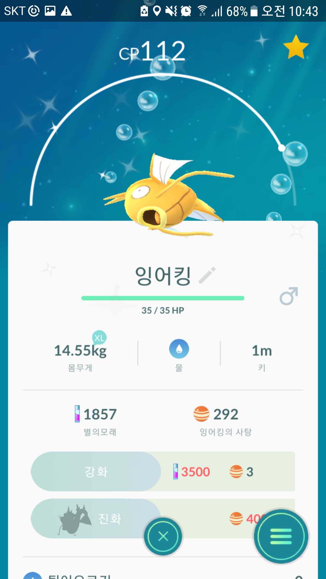 첫 황어킹