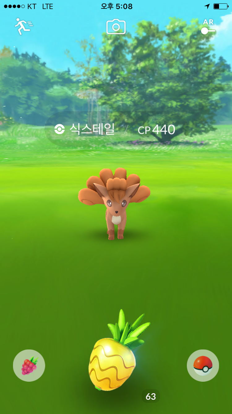 식스테일