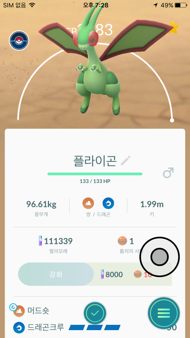 플라이곤