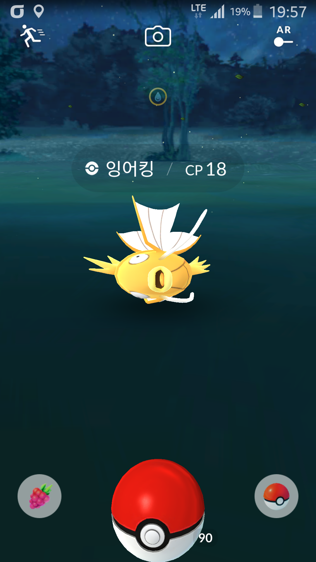 10번째 노란잉어