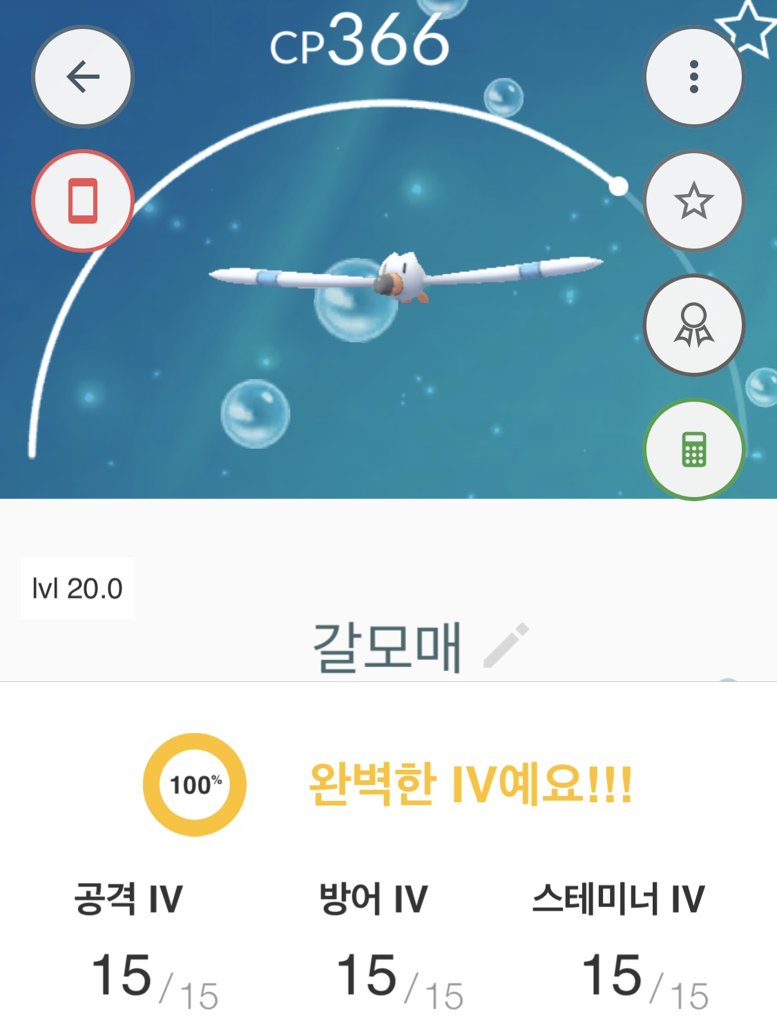 백갈모매입니다