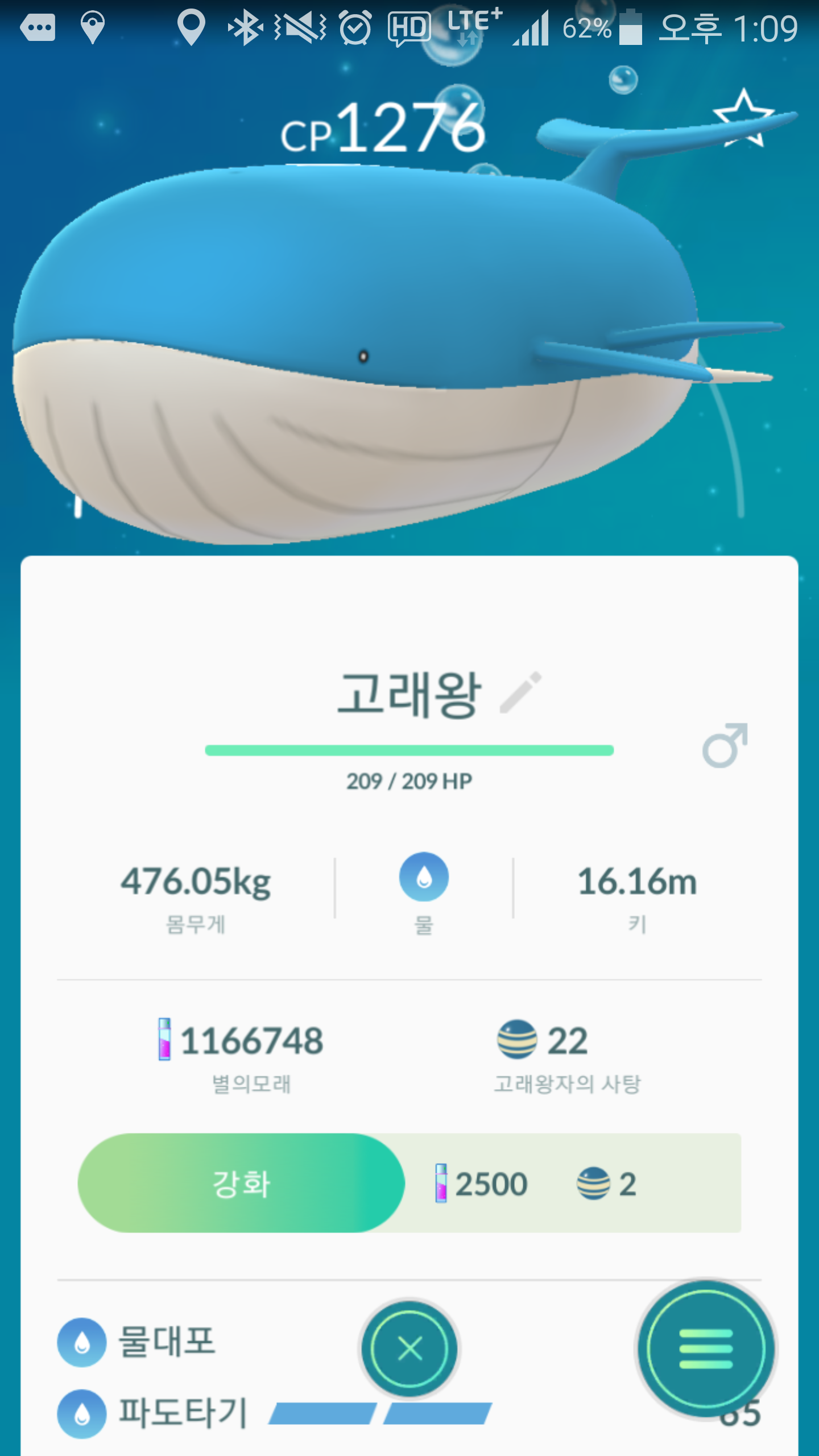 드디어 고래왕