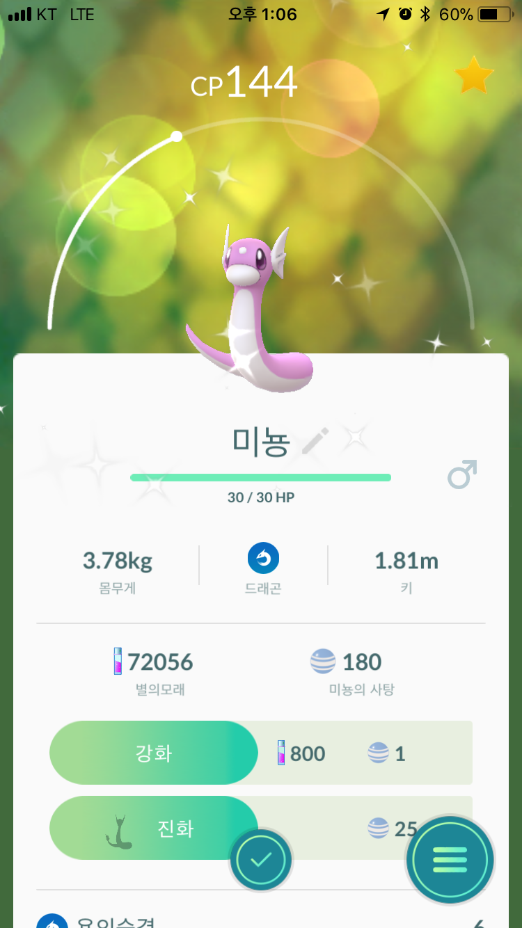 미뇽 이로치