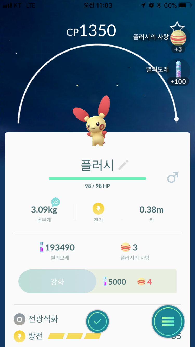 플러시