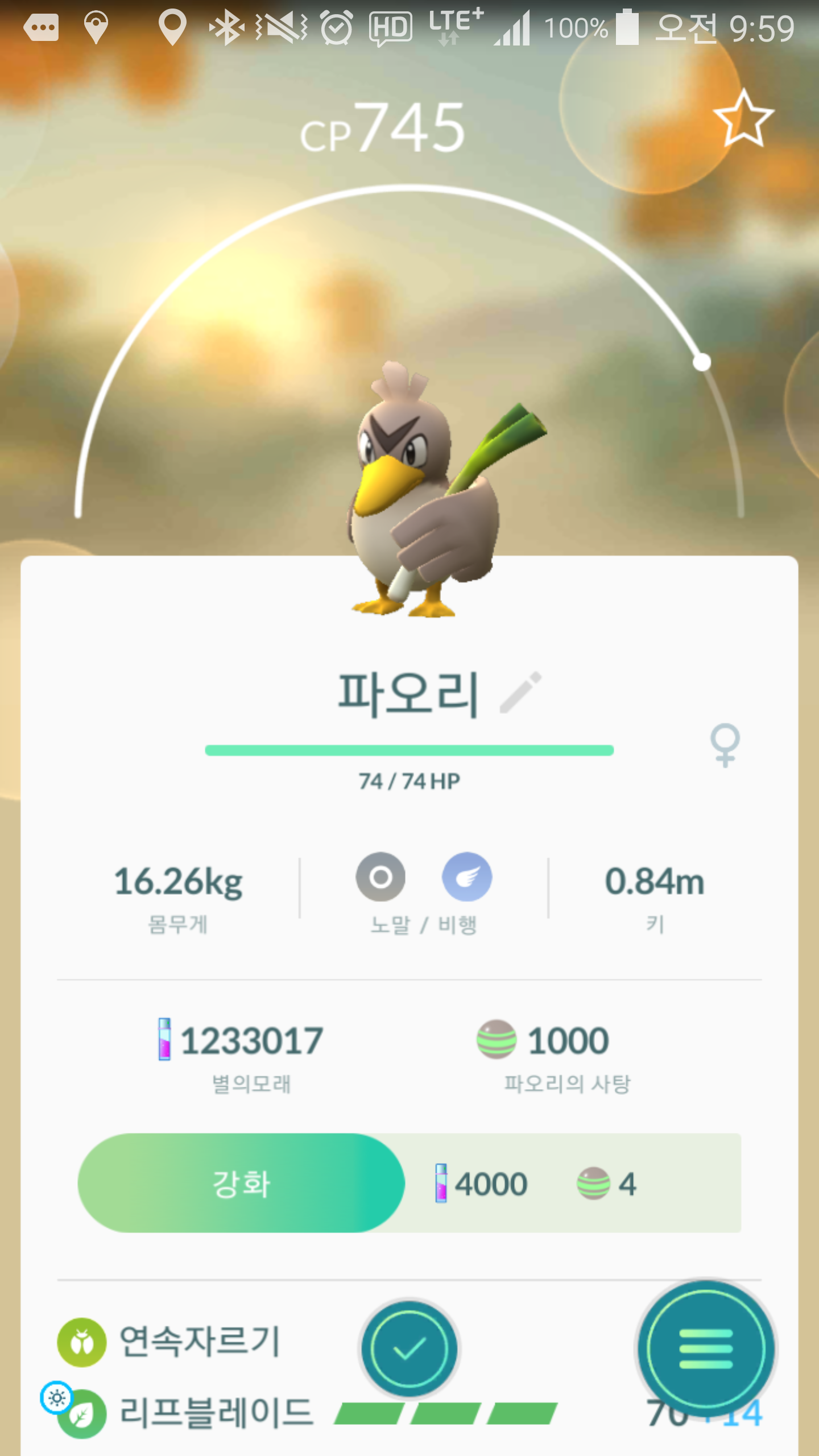 파오리 사탕 1천개 달성...