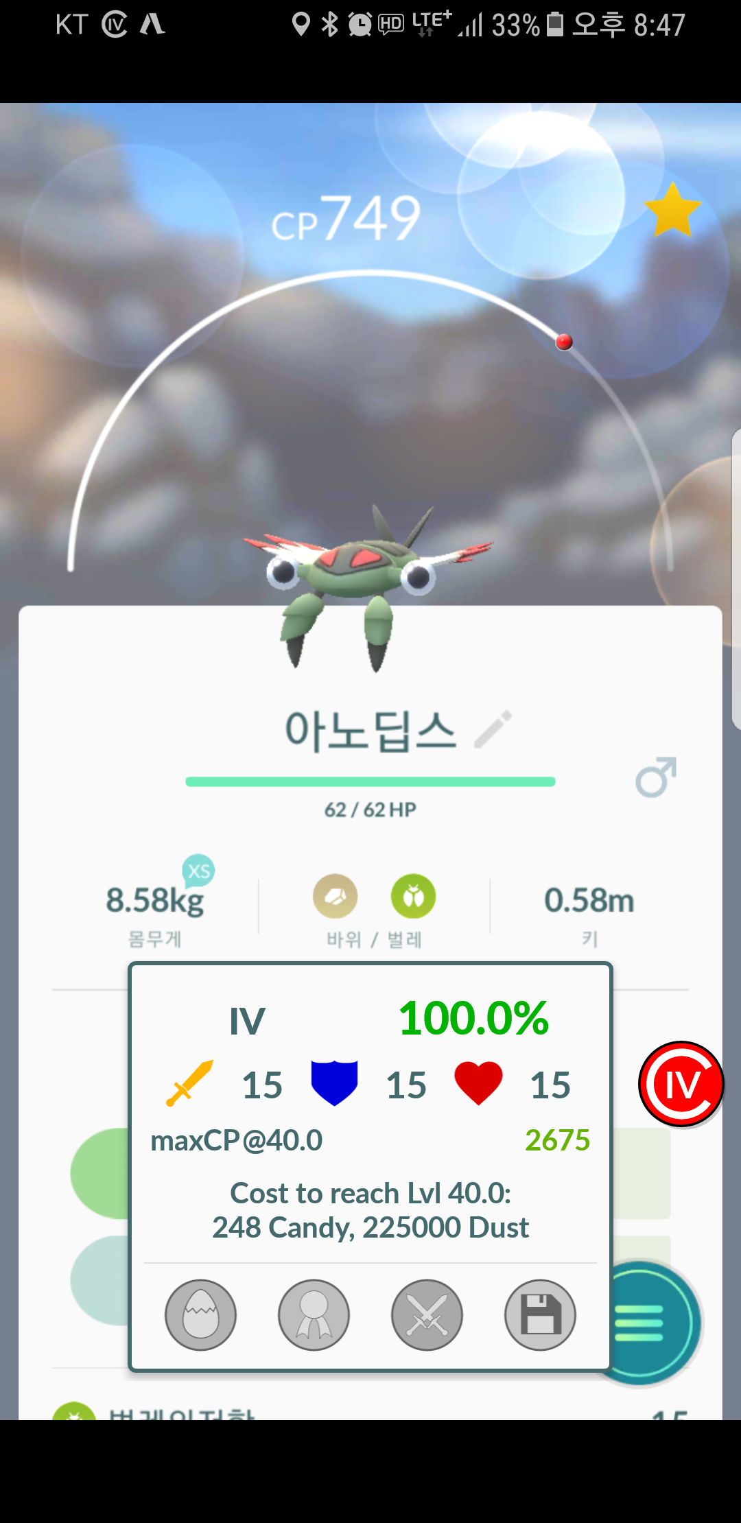 아노딥스 100%