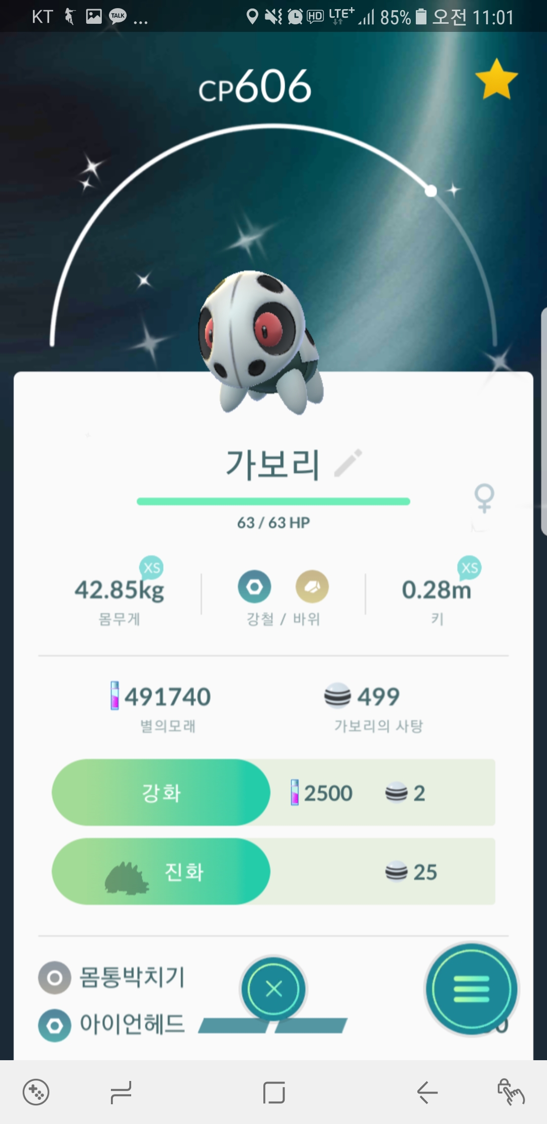 방금 잡은 눈이 빨간 가보리
