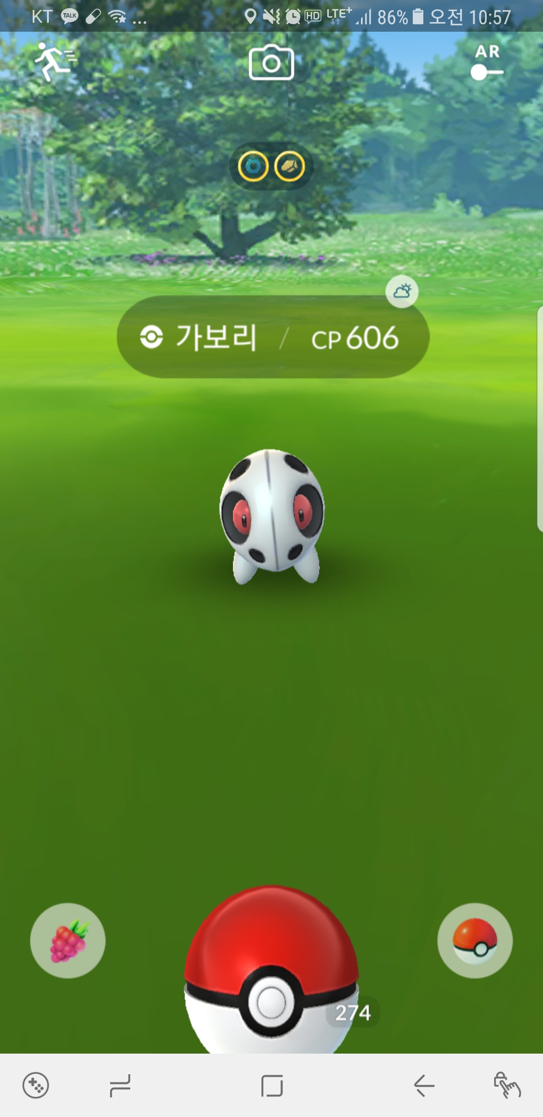 방금 잡은 눈이 빨간 가보리