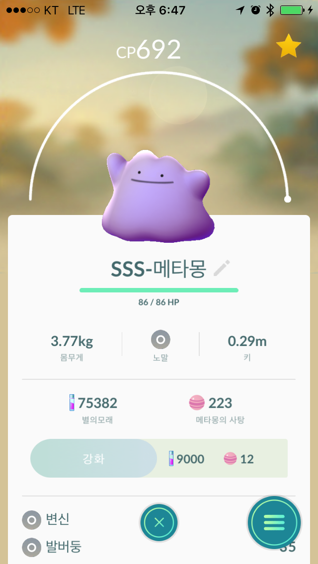 제가 가장 아끼는 포켓몬1