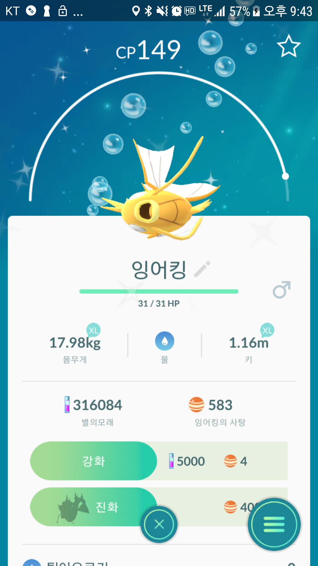 두번째 황금잉어킹