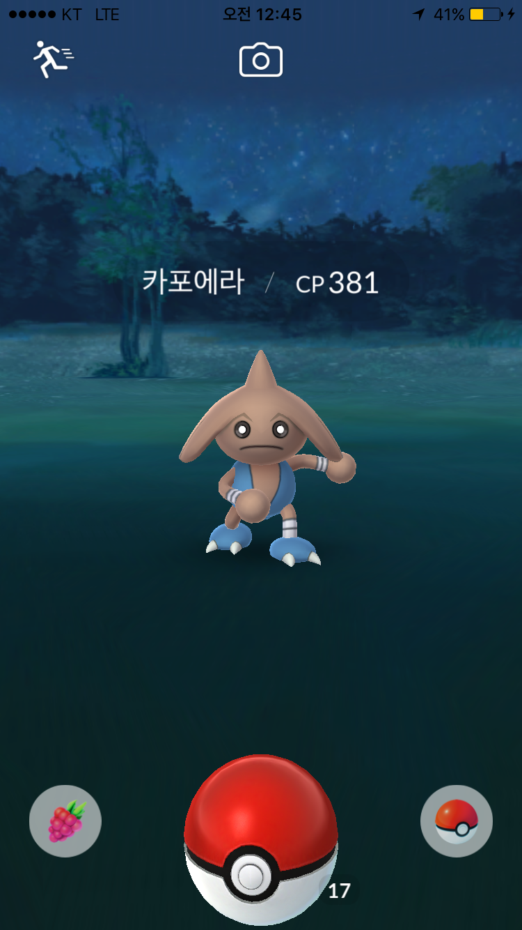 야생 배루키