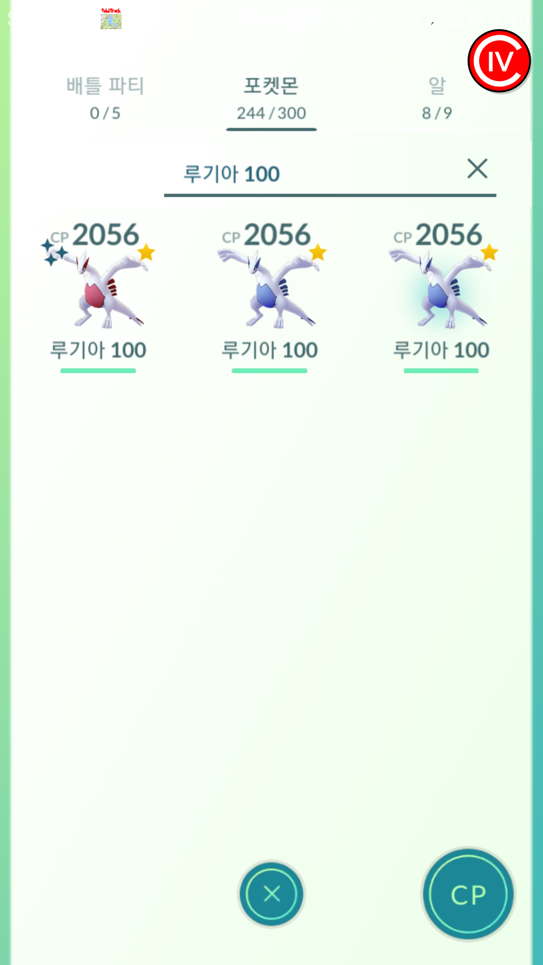 루기아 300