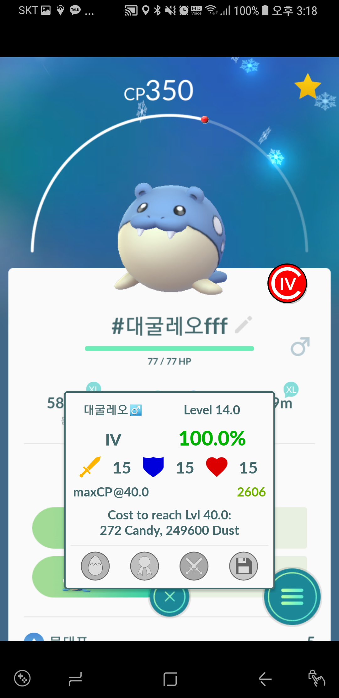 대굴레오