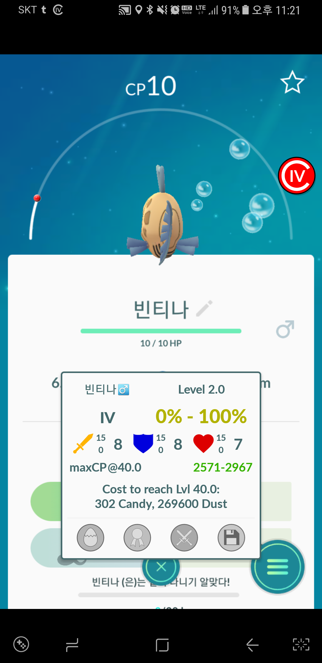 야생 영티나와 백티나입니다.