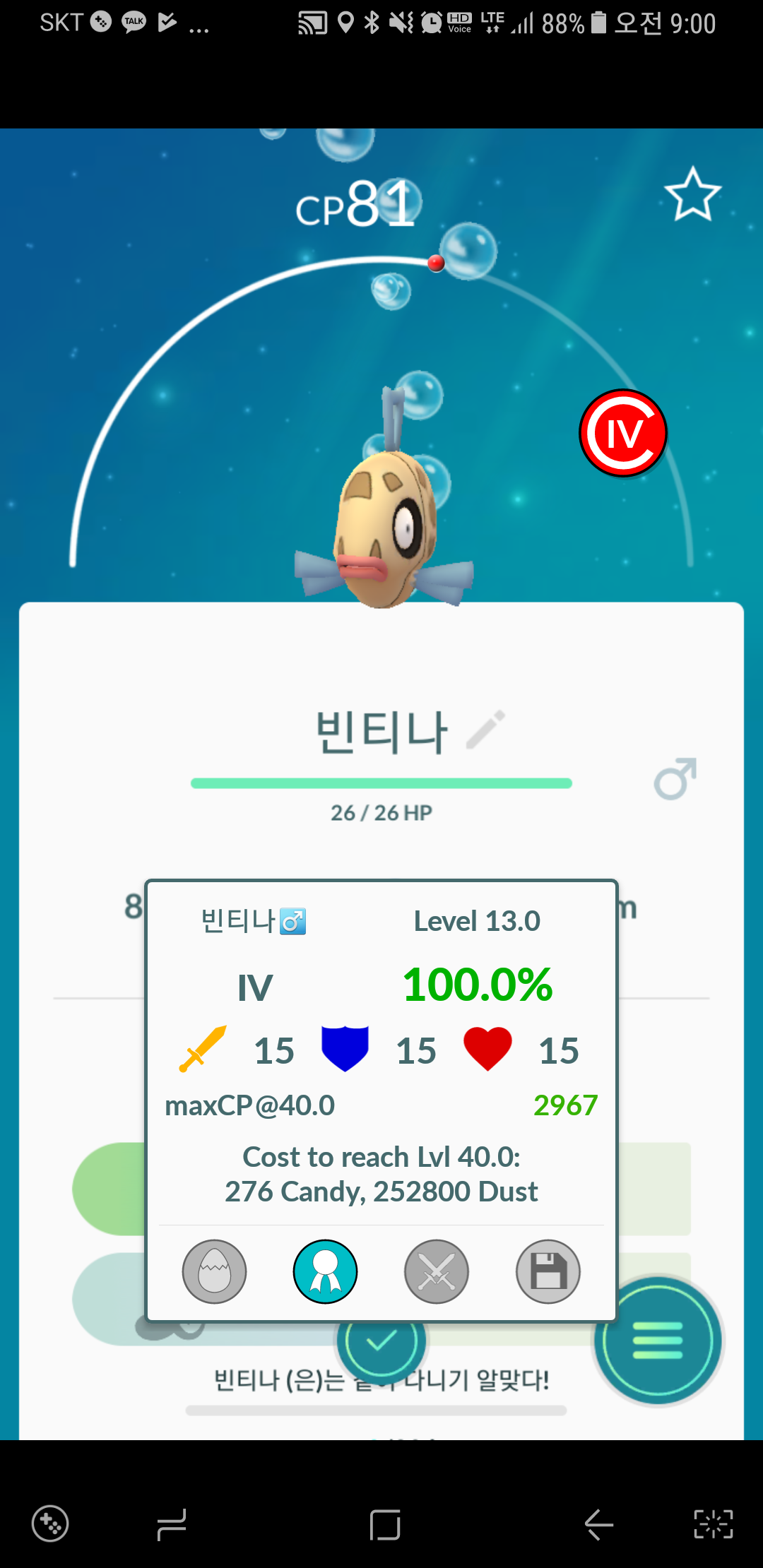 야생 영티나와 백티나입니다.