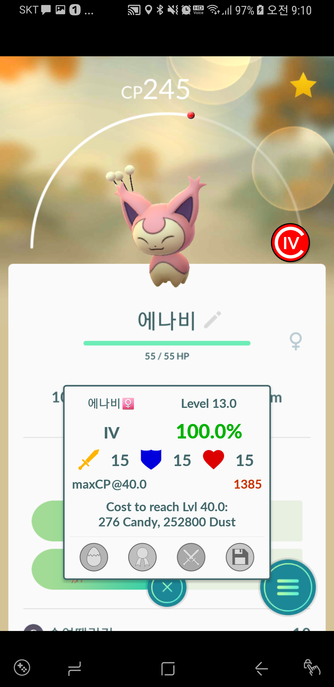 백나비