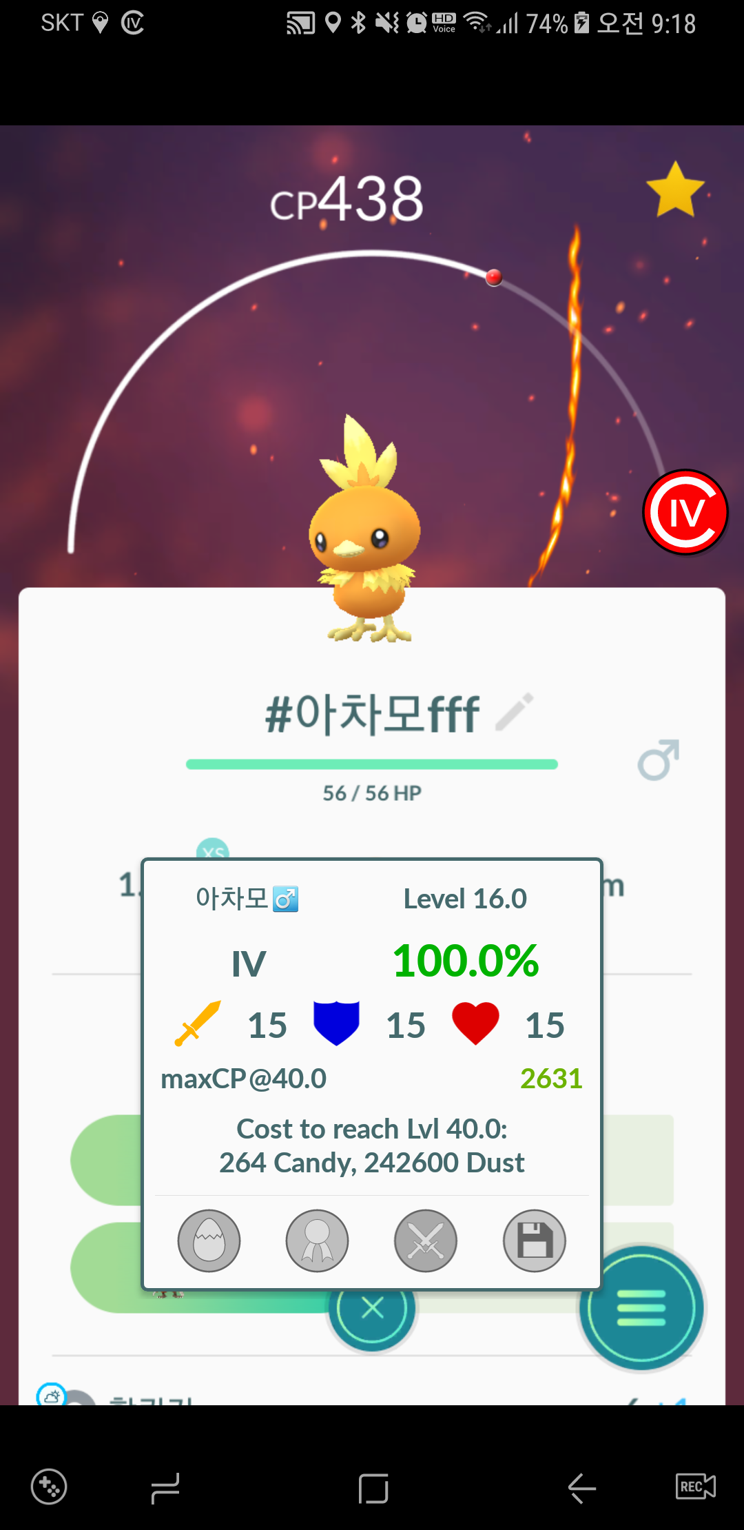 백차모