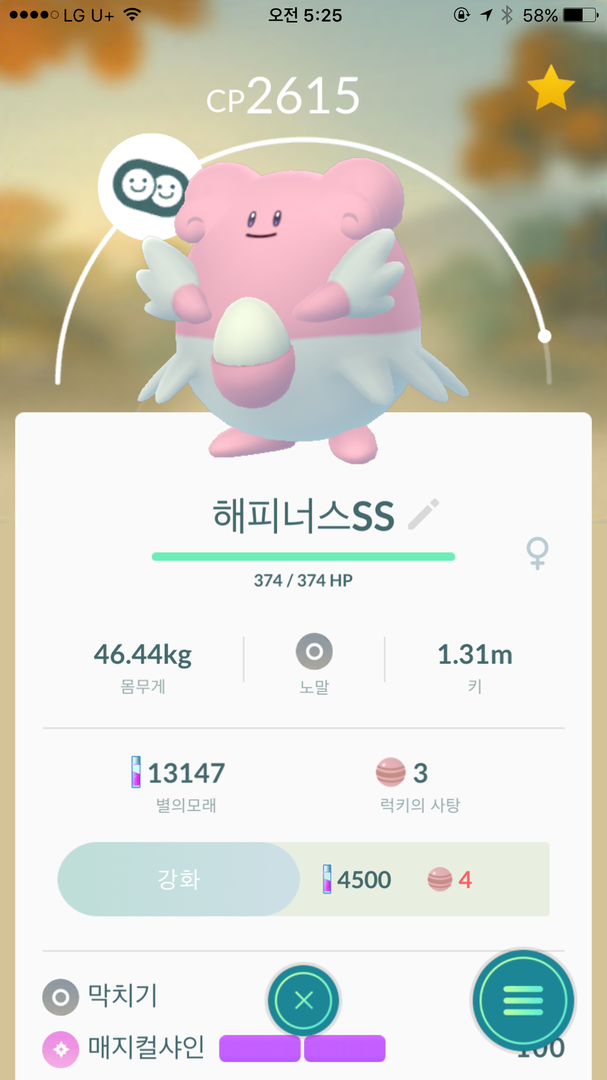 처음으로 진화한 해피너스