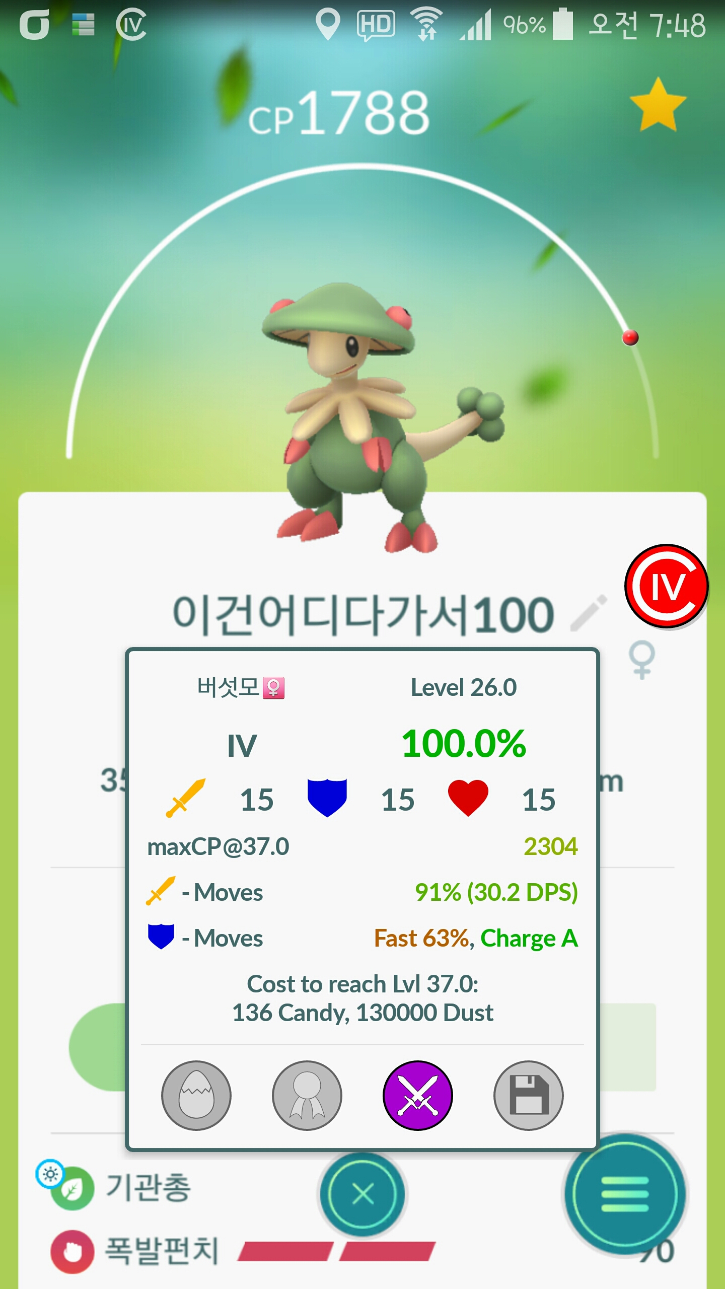 버섯모