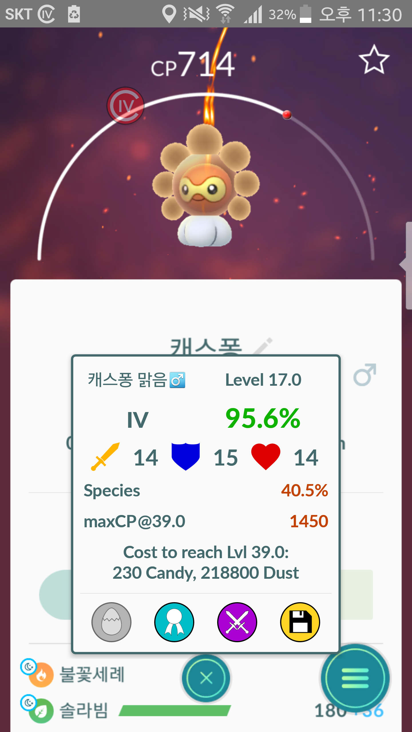 캐스퐁 고개체
