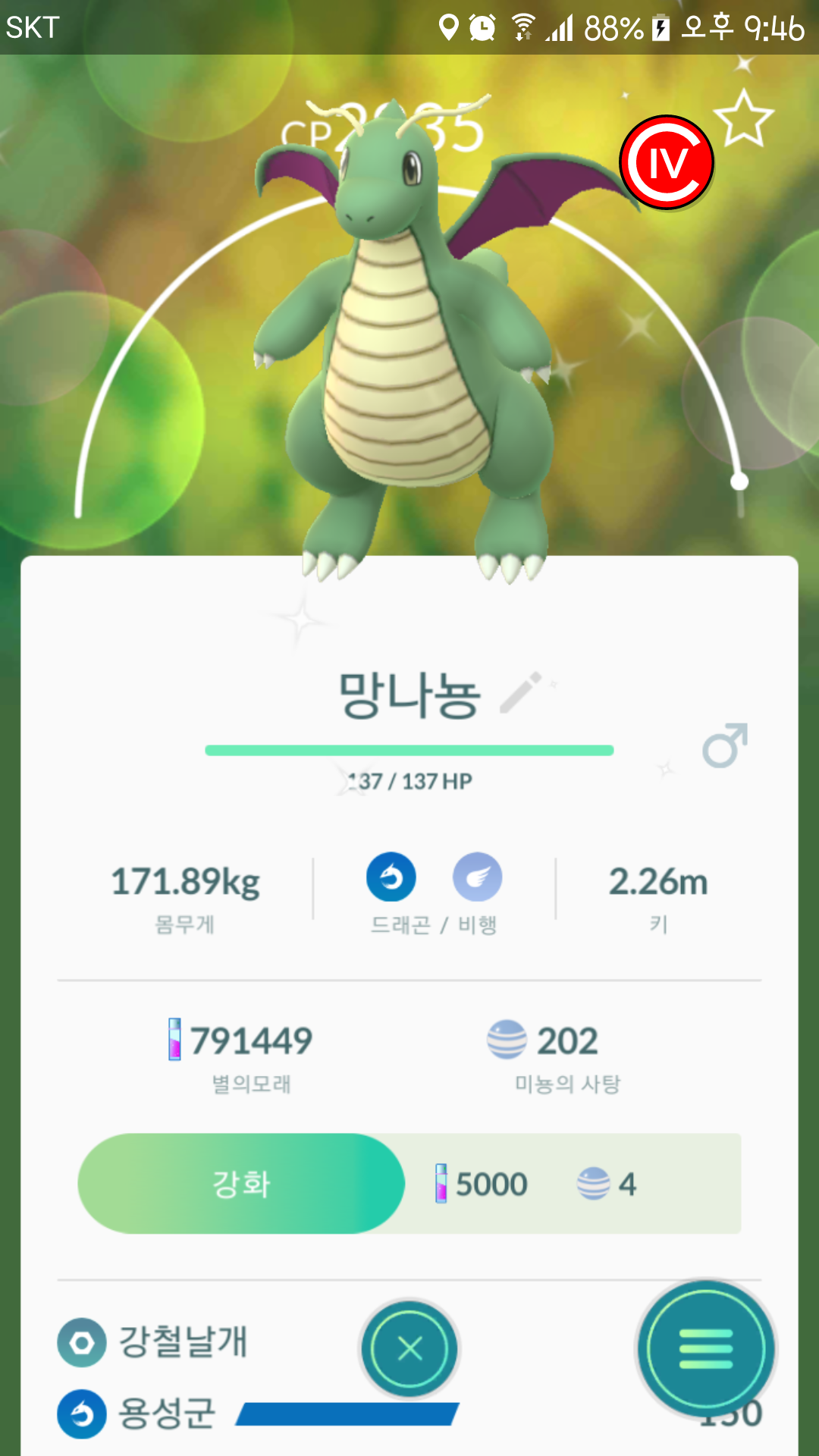 둘리