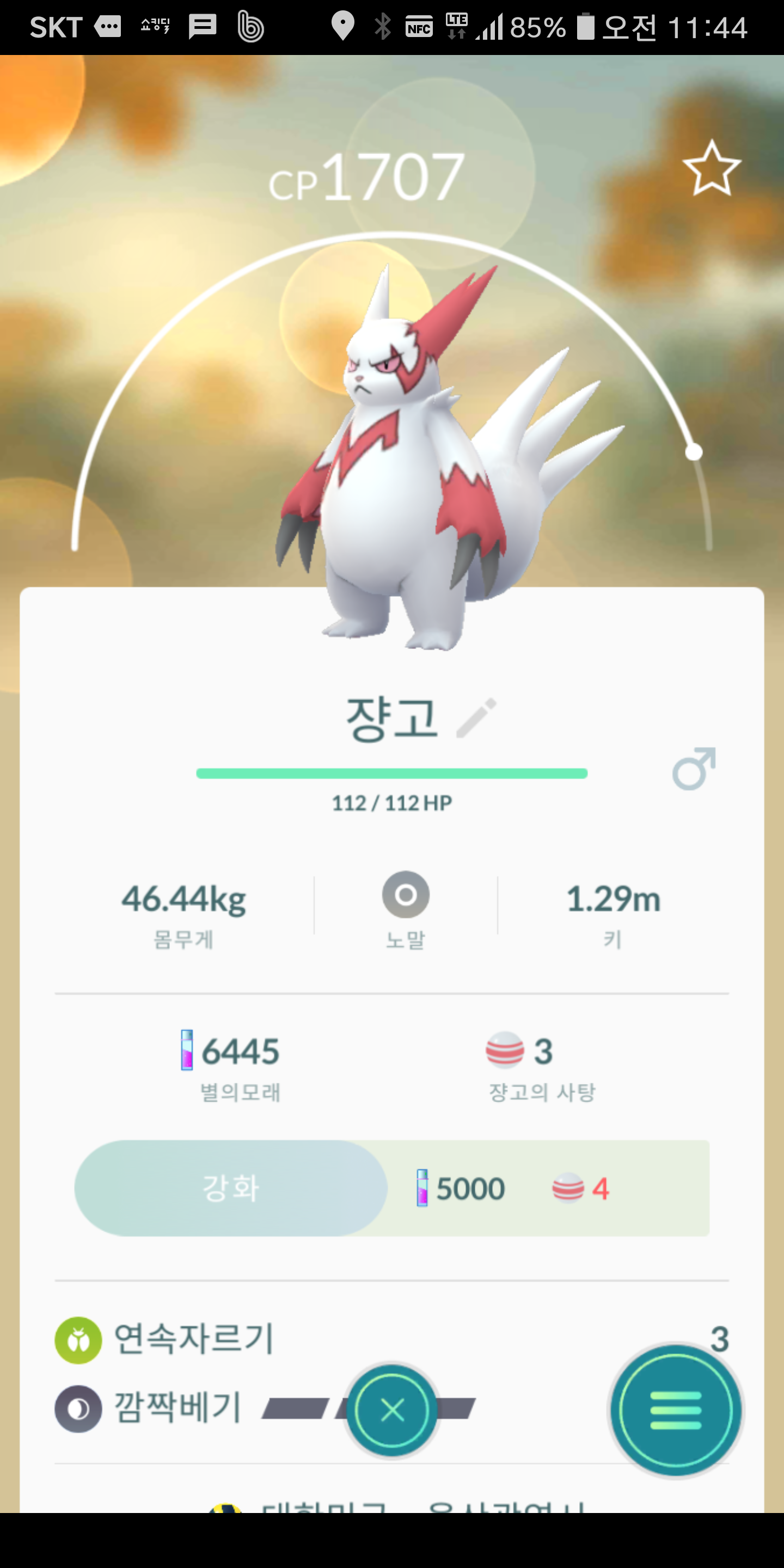 도감추가등록