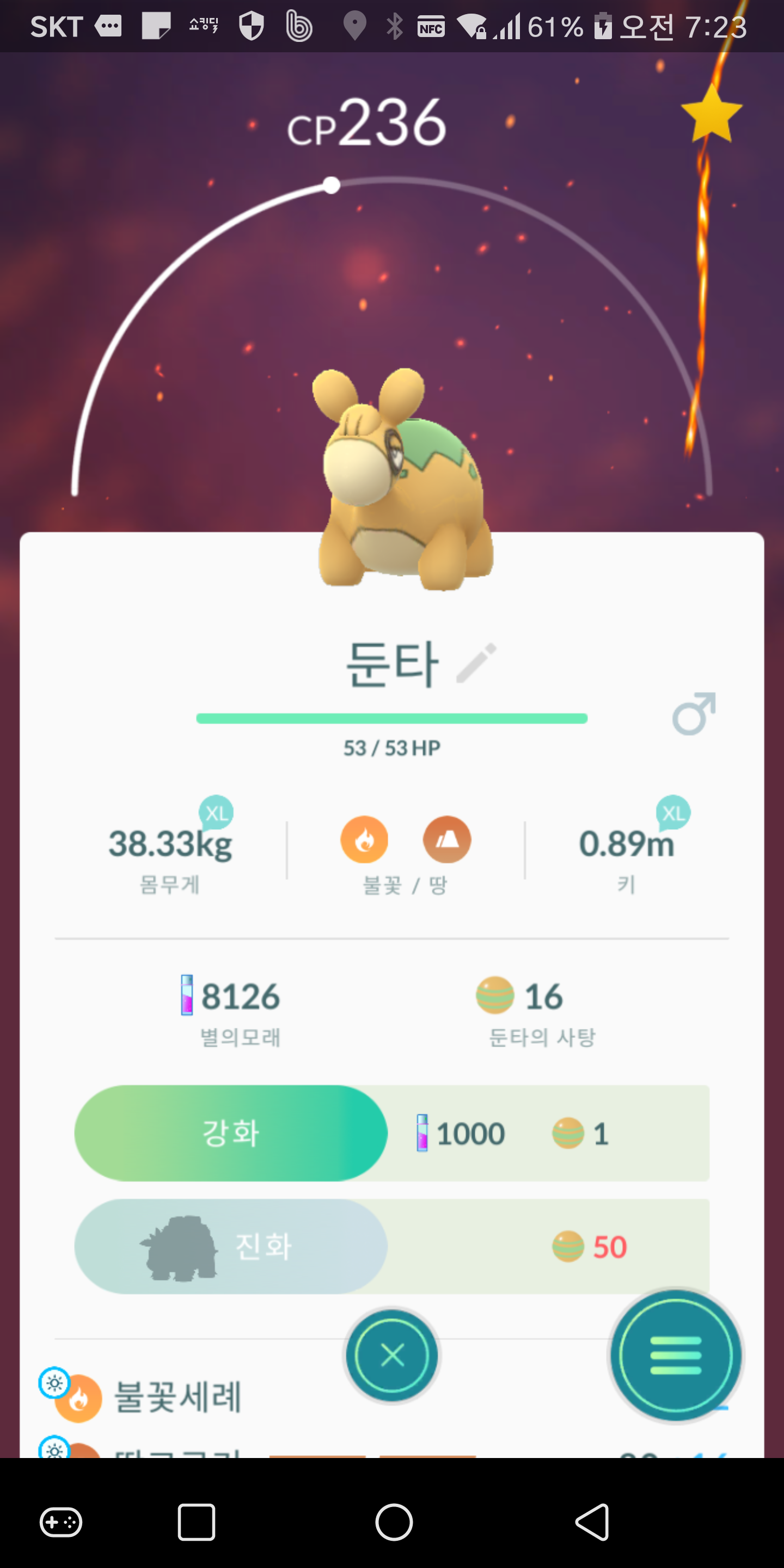 새로운 포켓몬 등장