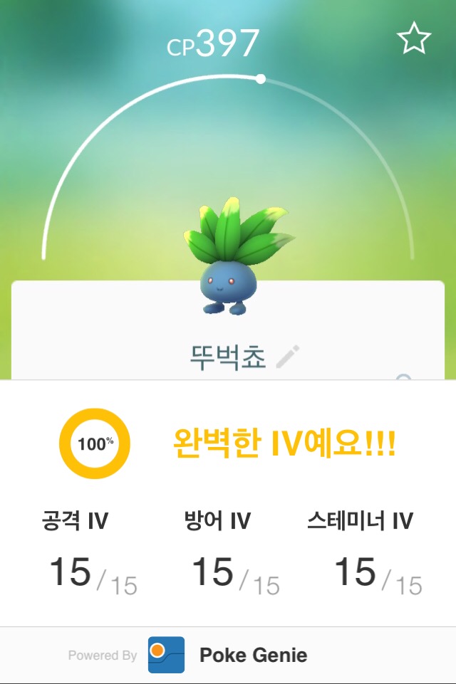 뚜벅쵸......