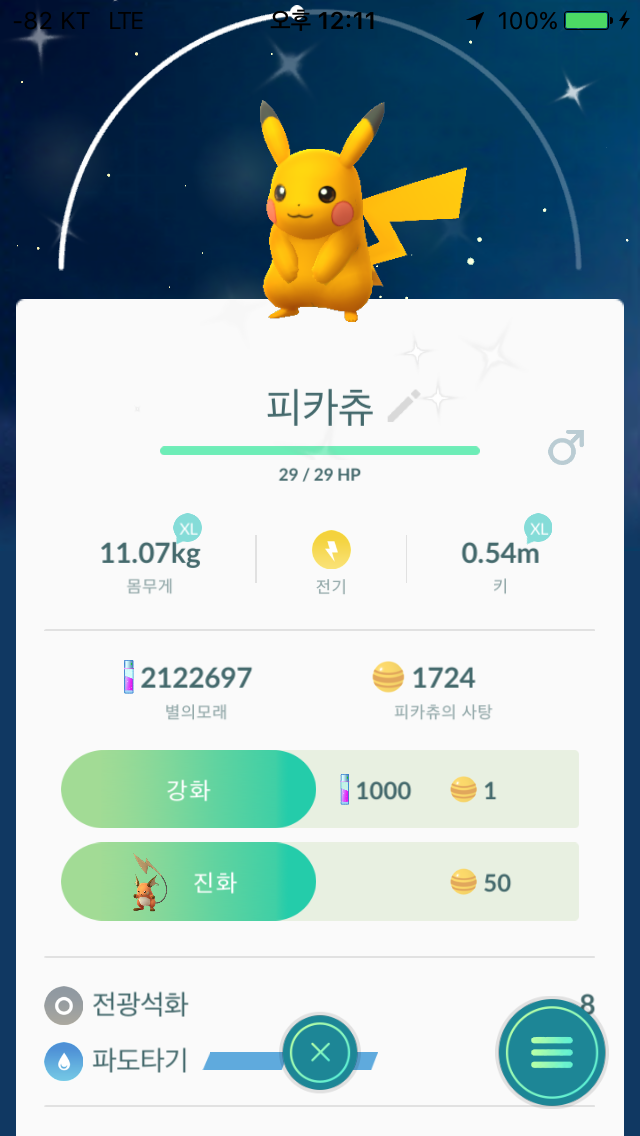 이로치 파도츄......