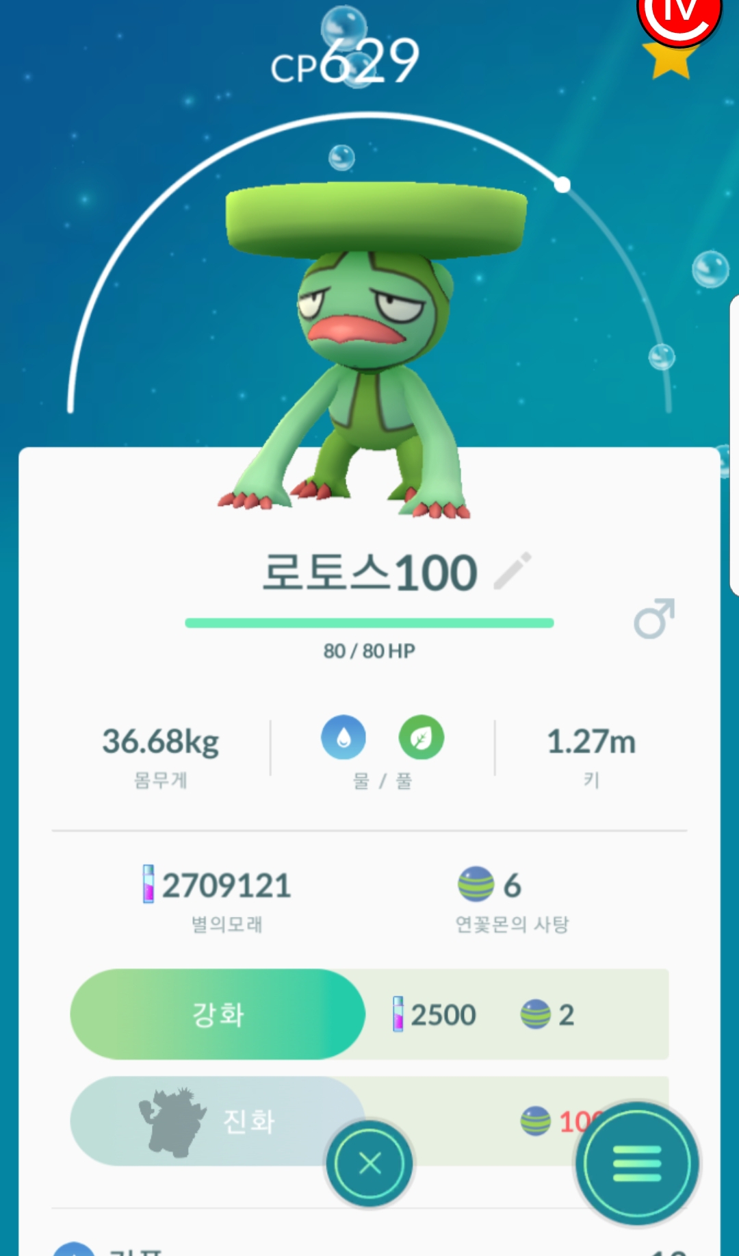 연꽃몬 100 진화 랄토스