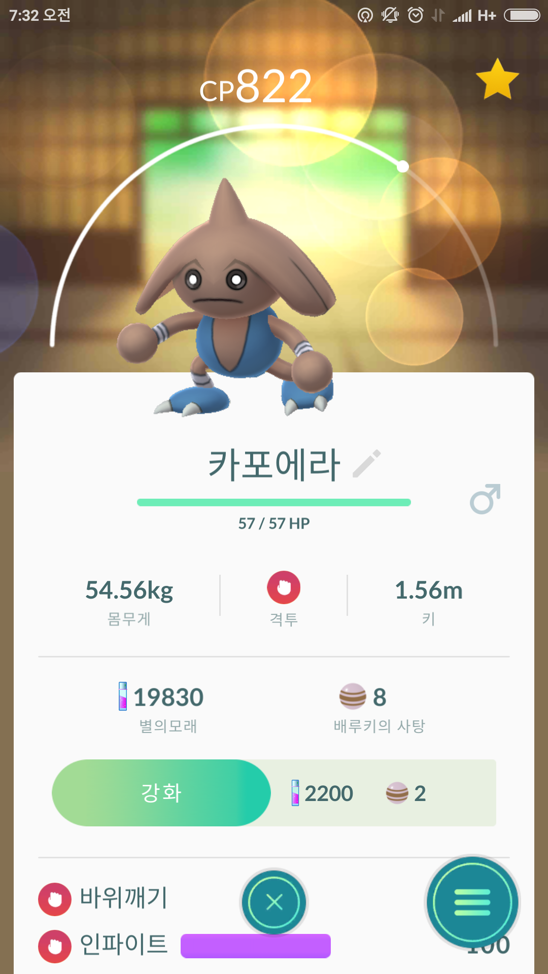 산타고 올라 잡은 카포에라