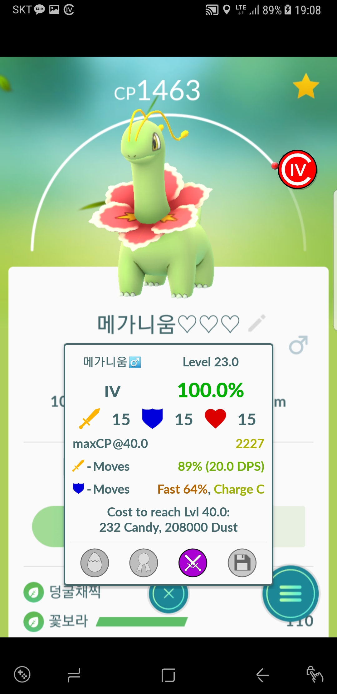메가니움