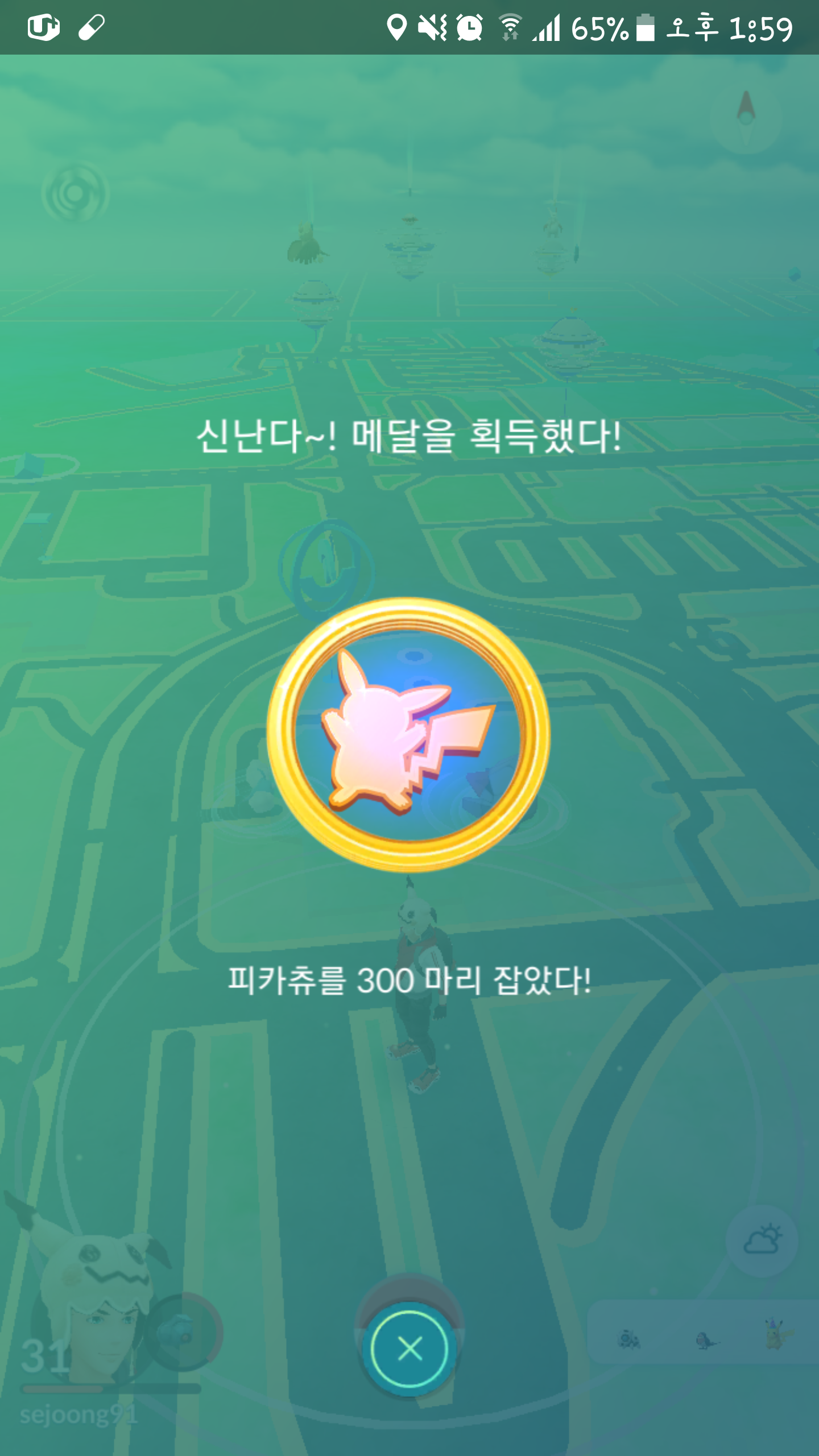 드디어 피카츄 애호가 등극했습니다 ㅠㅜ
