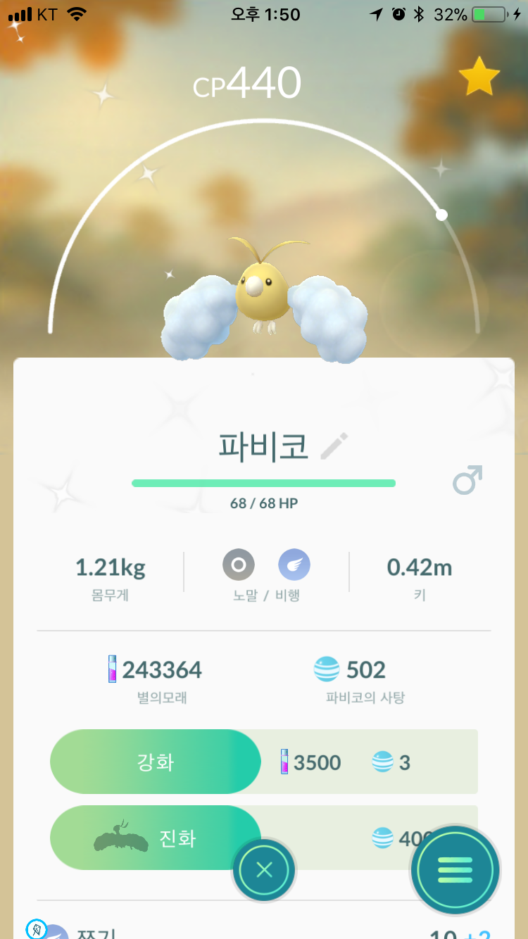 파비코 이로치