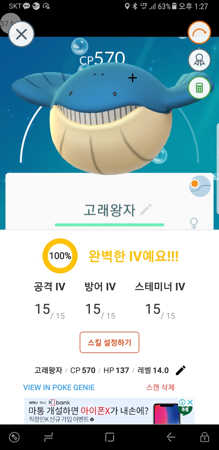 고래왕자 100백  31일 유림에서 잡았어요