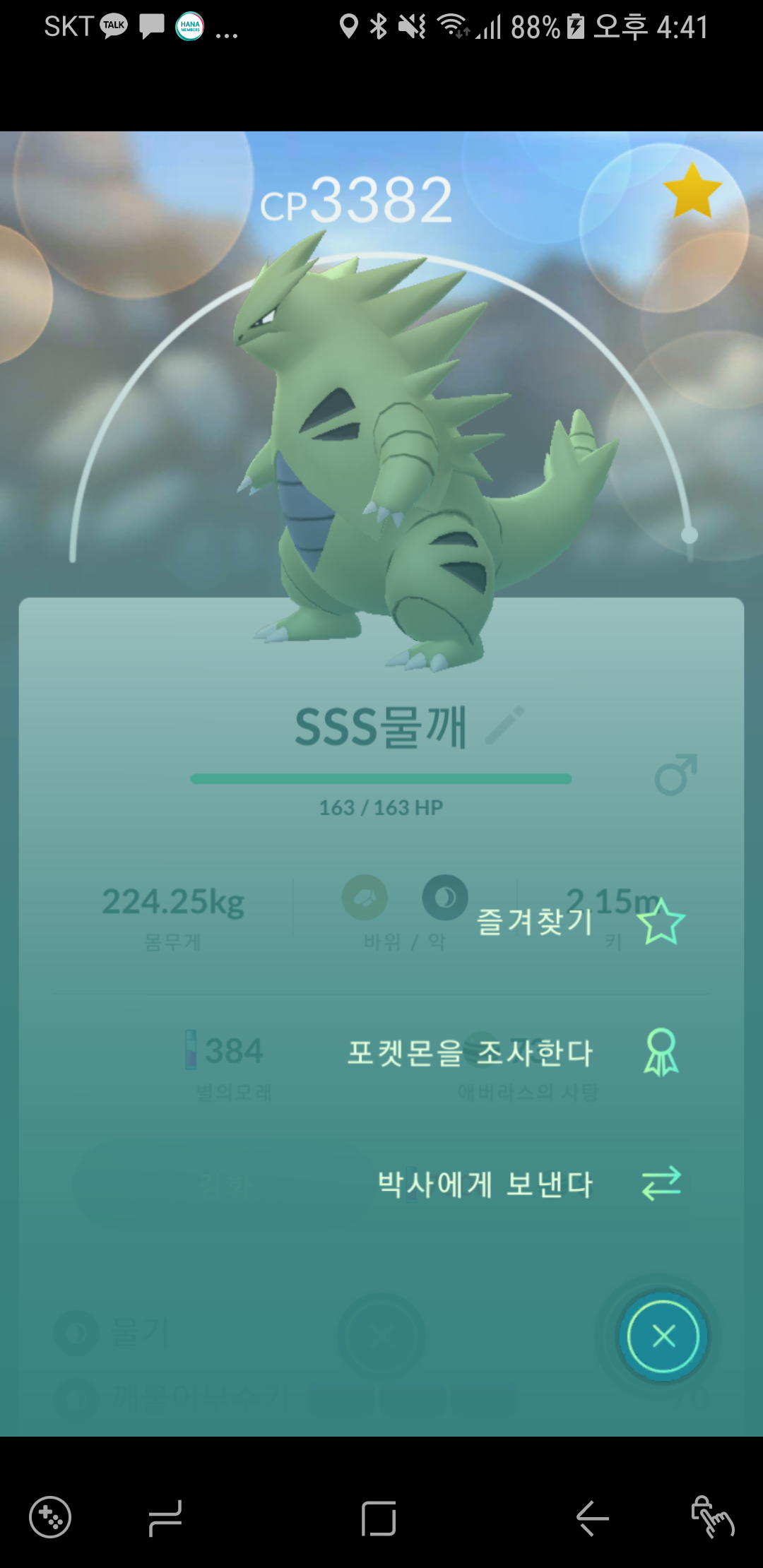 유일한 물깨 백마기